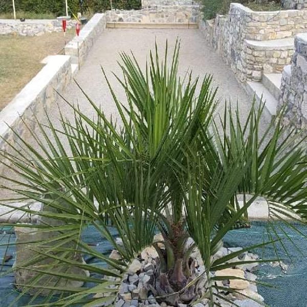 Vue ensemble jardin aménagé